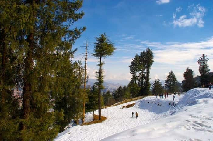 Kufri, Shimla