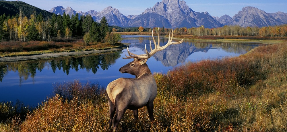 Grand Teton National Park