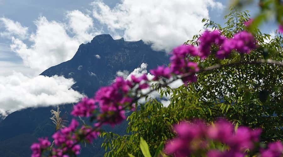 Kinabalu National Park