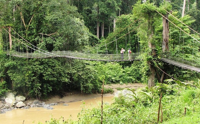 Danum Valley