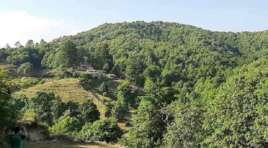 Binsar, Almora