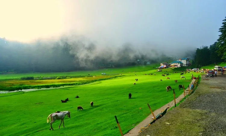 Panoramic Himachal tour package 