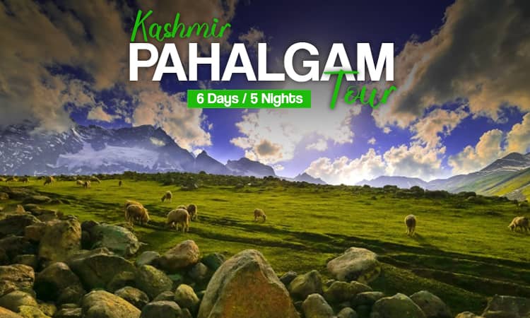 Kashmir Pahalgam Tour