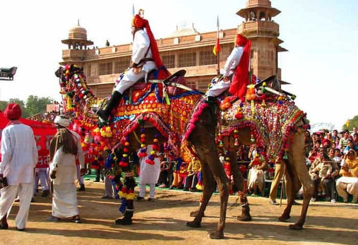 Camel Festival Bikaner