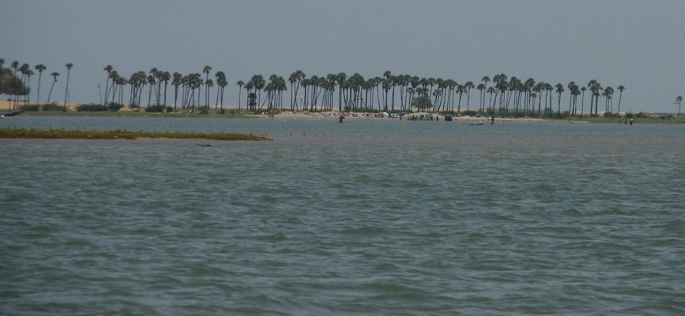 Pulicat Lake