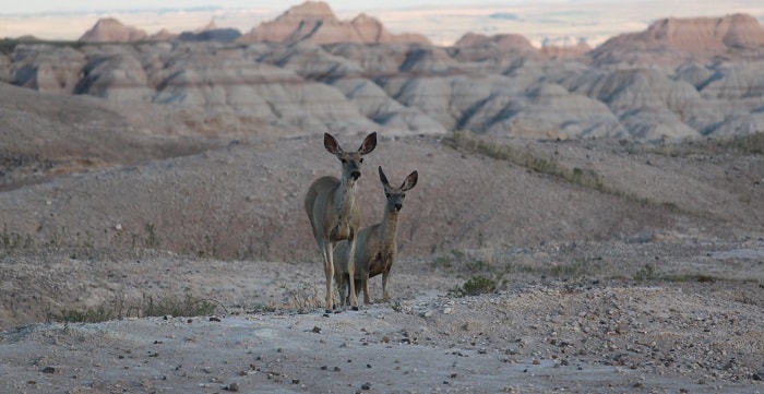 Badlands National Park