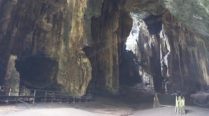 Gomantong Cave