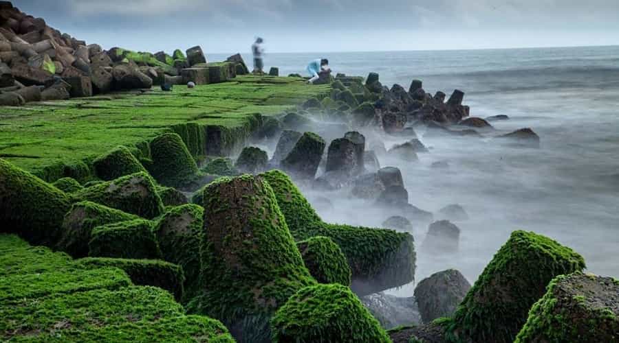 Anjuna Beach, North Goa