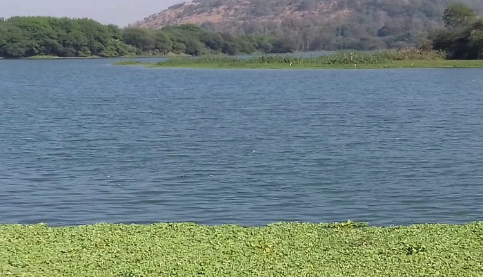 Pashan Lake