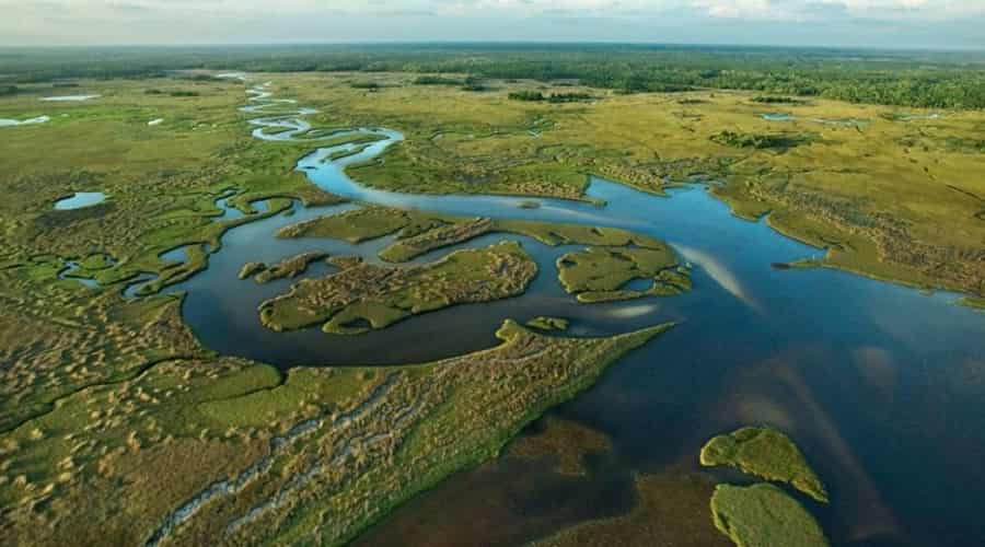 Aerial view of Florida Everglades
