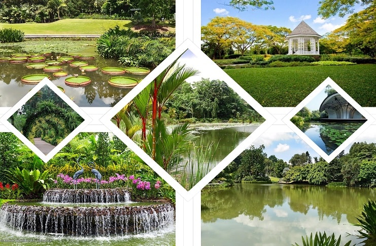 Singapore Botanic Gardens