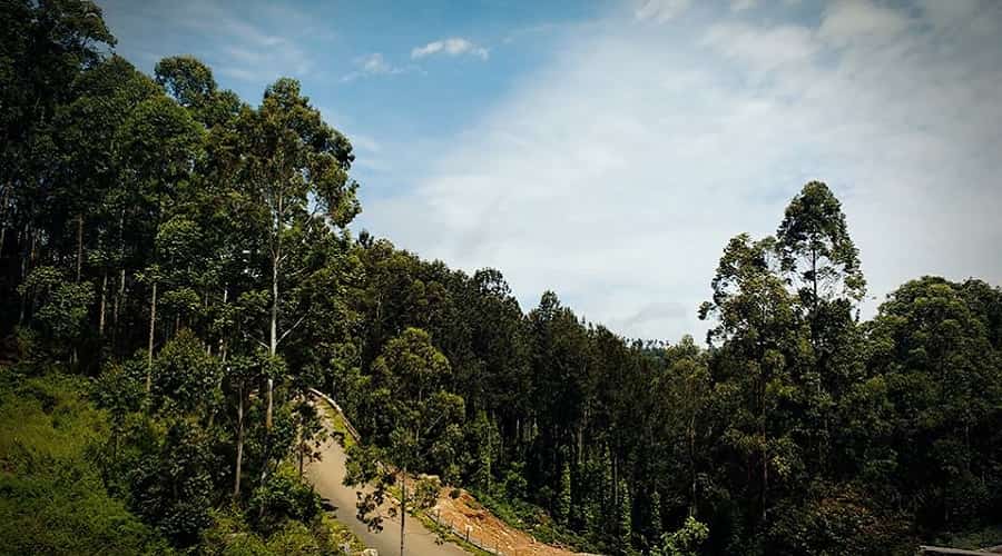 Yercaud Hill Station