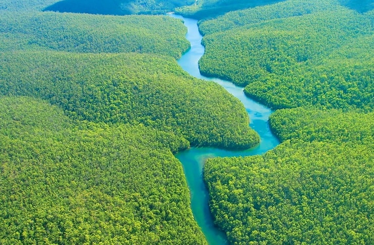 Amazon Rainforest