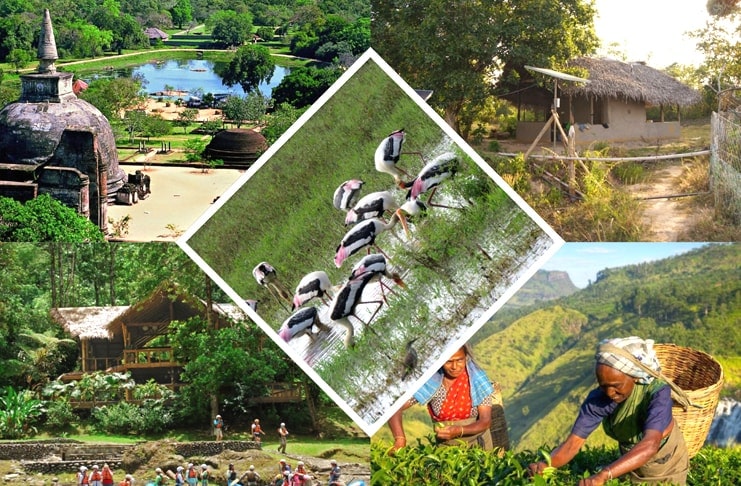 Ecotourism in Sri Lanka