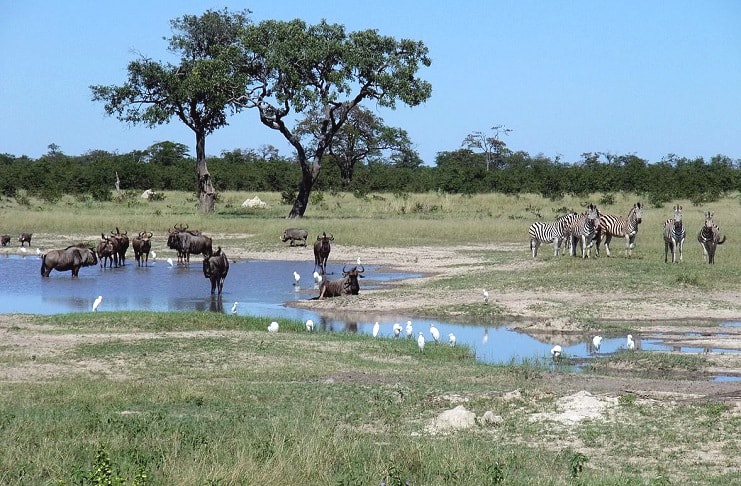 Chobe National Park