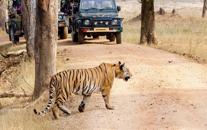 Panna National Park