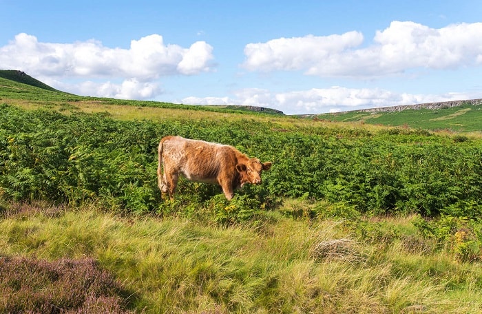 Peak District National Park