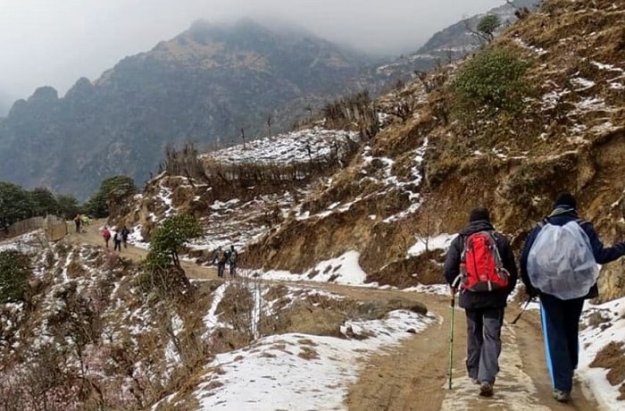 Singalila Trek