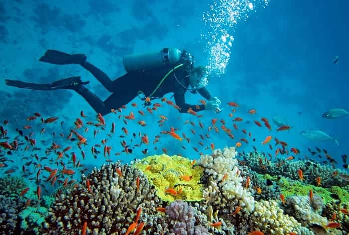 Scuba Diving in Andaman and Nicobar Islands