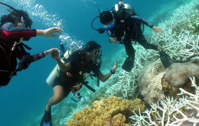 Scuba Diving in Derawan Islands