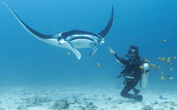 Scuba Diving in Komodo Island