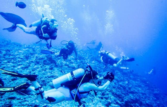 Scuba Diving in Koror