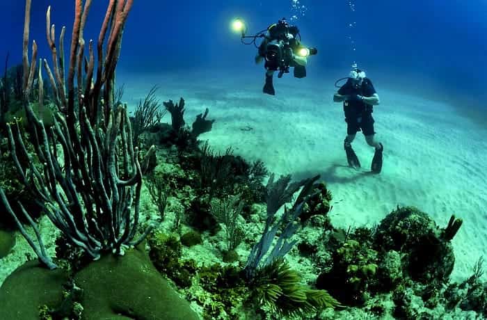 Scuba Diving in Mergui Archipelago