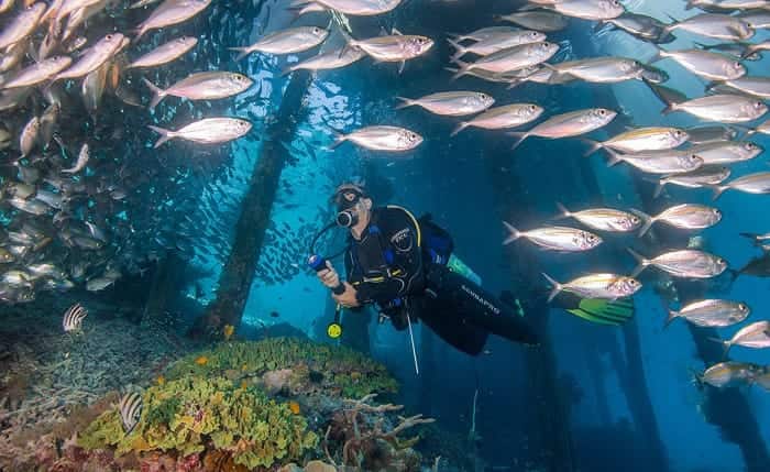 Scuba Diving in Raja Ampat