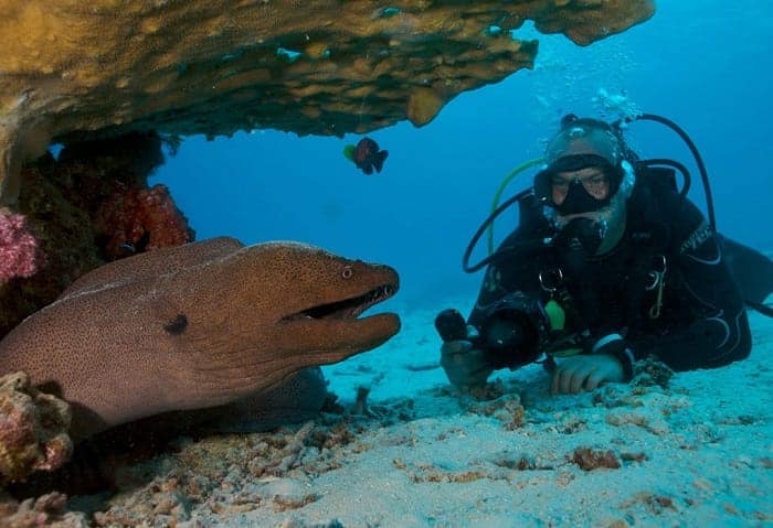 Scuba Diving in Similan Islands