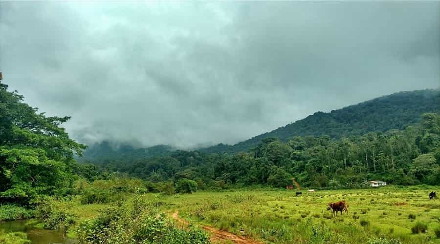 Coorg in Monsoon