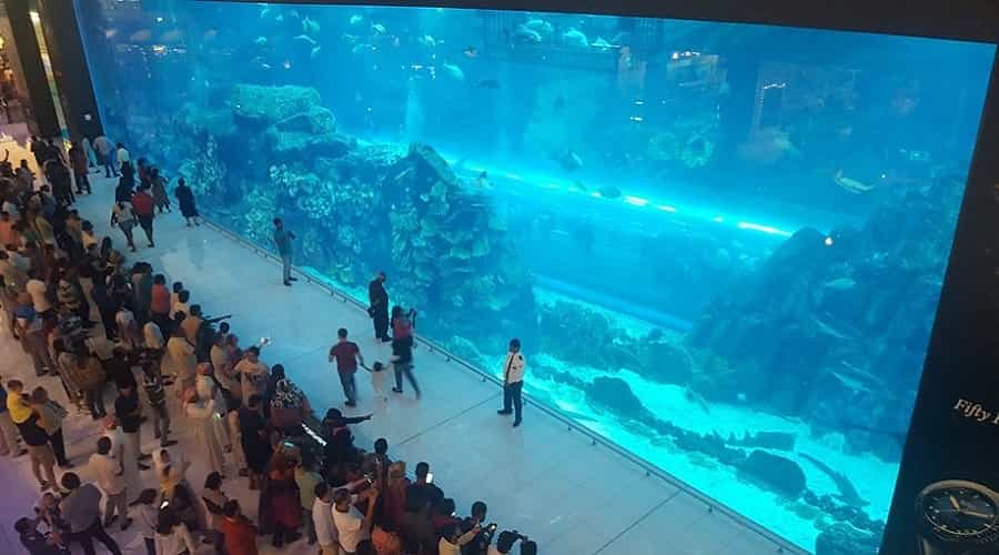 Dubai Aquarium and Underwater Zoo