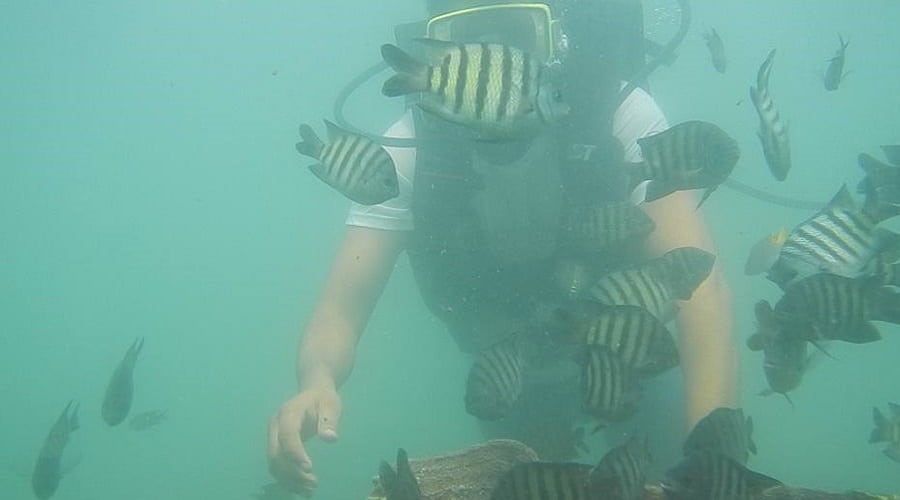 Scuba Diving Goa