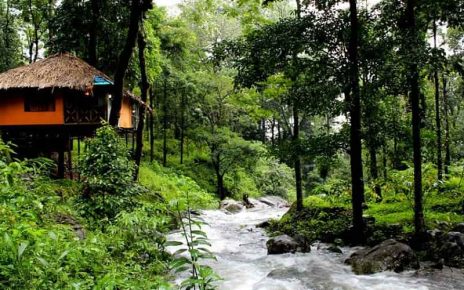 Wayanad in Monsoon