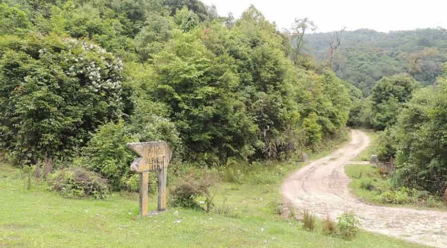 Talley Valley Wildlife Sanctuary, Ziro