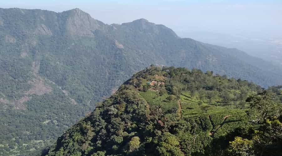 dolphin’s nose connor