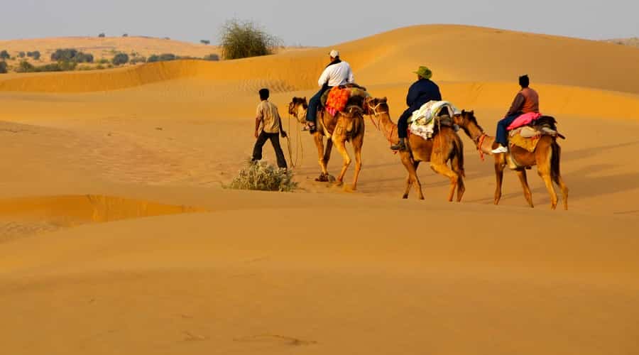 Desert Safari in Bikaner