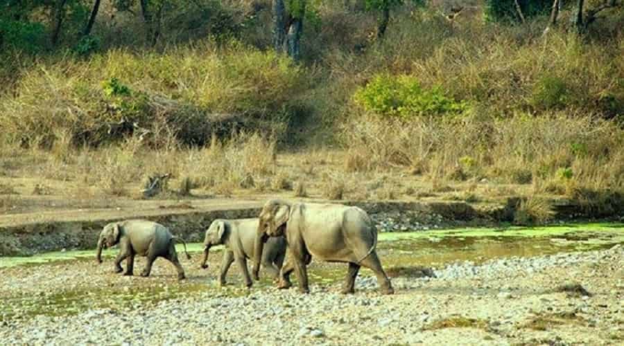 Govind Wildlife Sanctuary