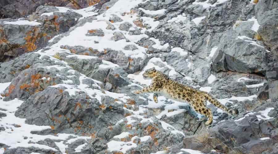 Hemis National Park