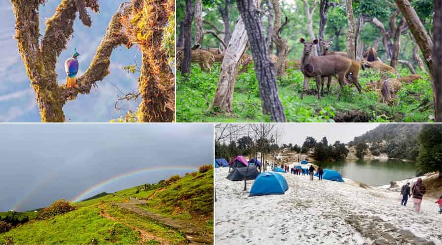 Kedarnath Wildlife Sanctuary