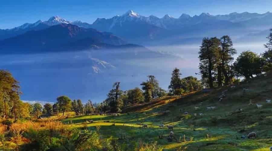 Munsiyari, Uttarakhand