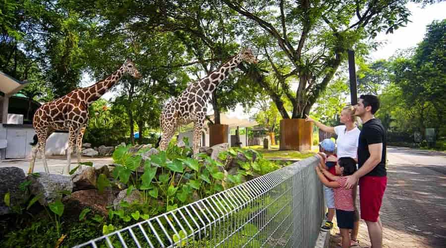 Zoo Negara Malaysia