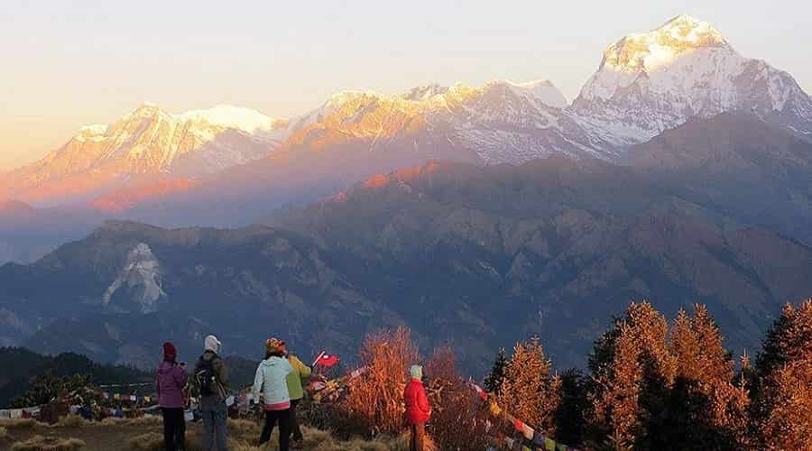 Ghorepani Poon Hill Trek