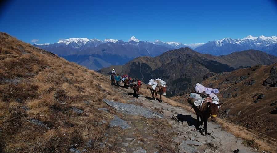 Kuari Pass Trek