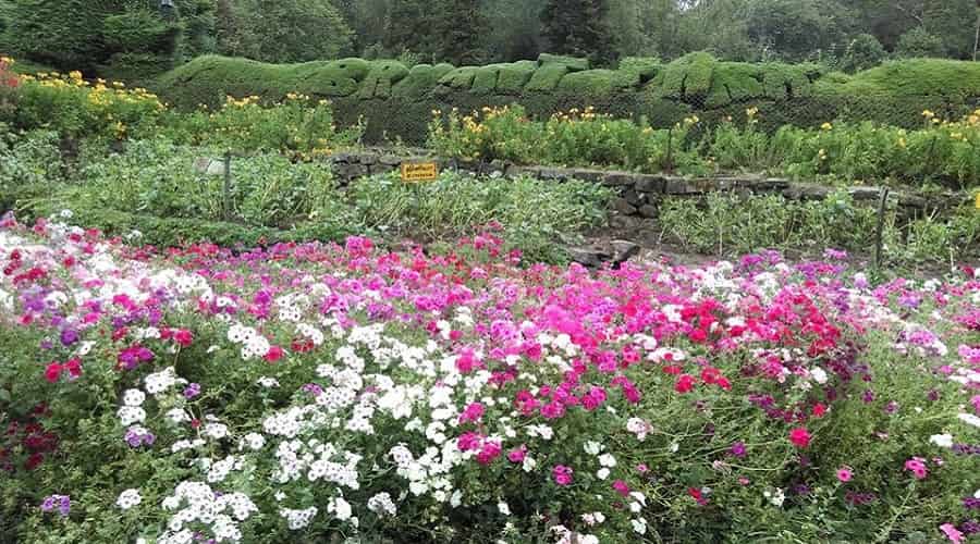 Bryant Park, Kodaikanal