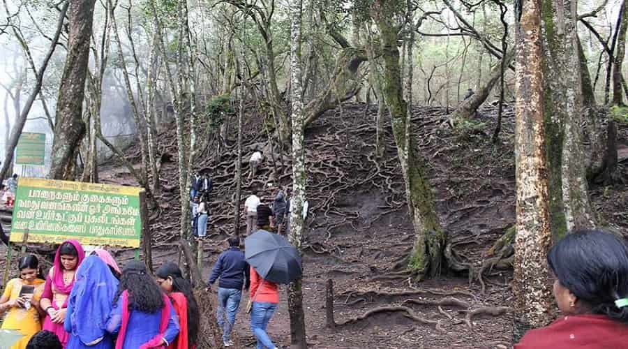 Devil's Kitchen, Kodaikanal