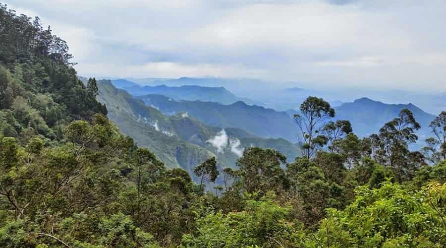 Dolphin's Nose Kodaikanal