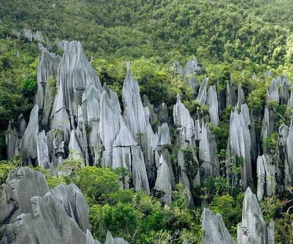 Mulu National Park, Borneo, Malaysia
