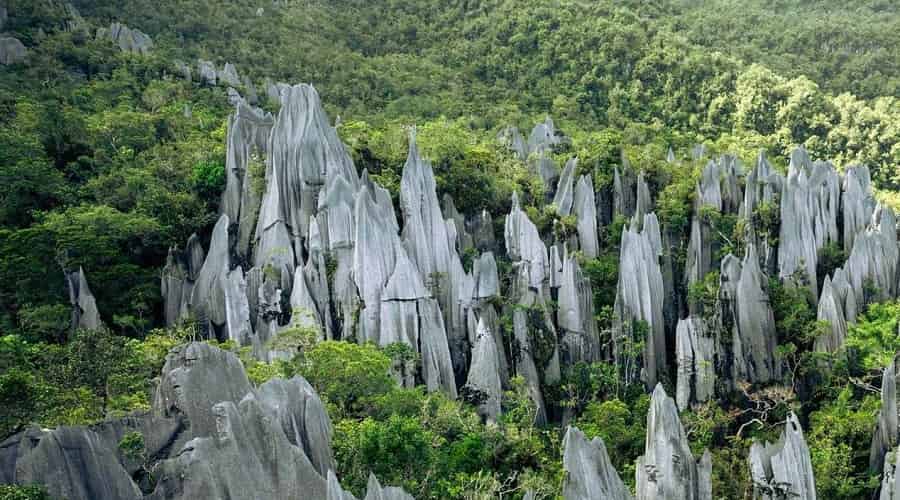 Mulu National Park, Borneo, Malaysia