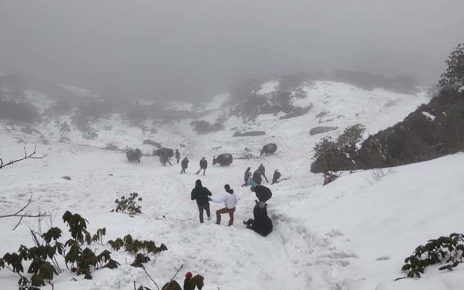 Honeymoon in Sikkim