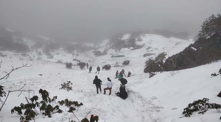 Honeymoon in Sikkim